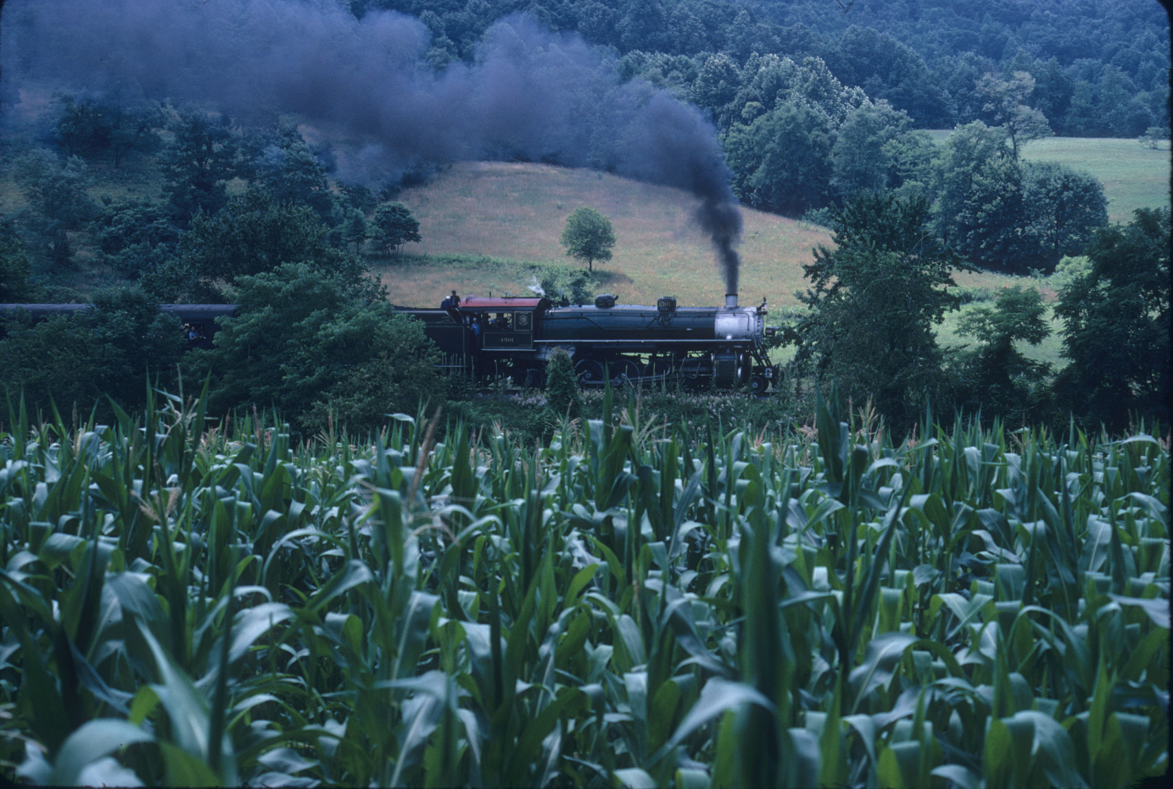 Excursion Train