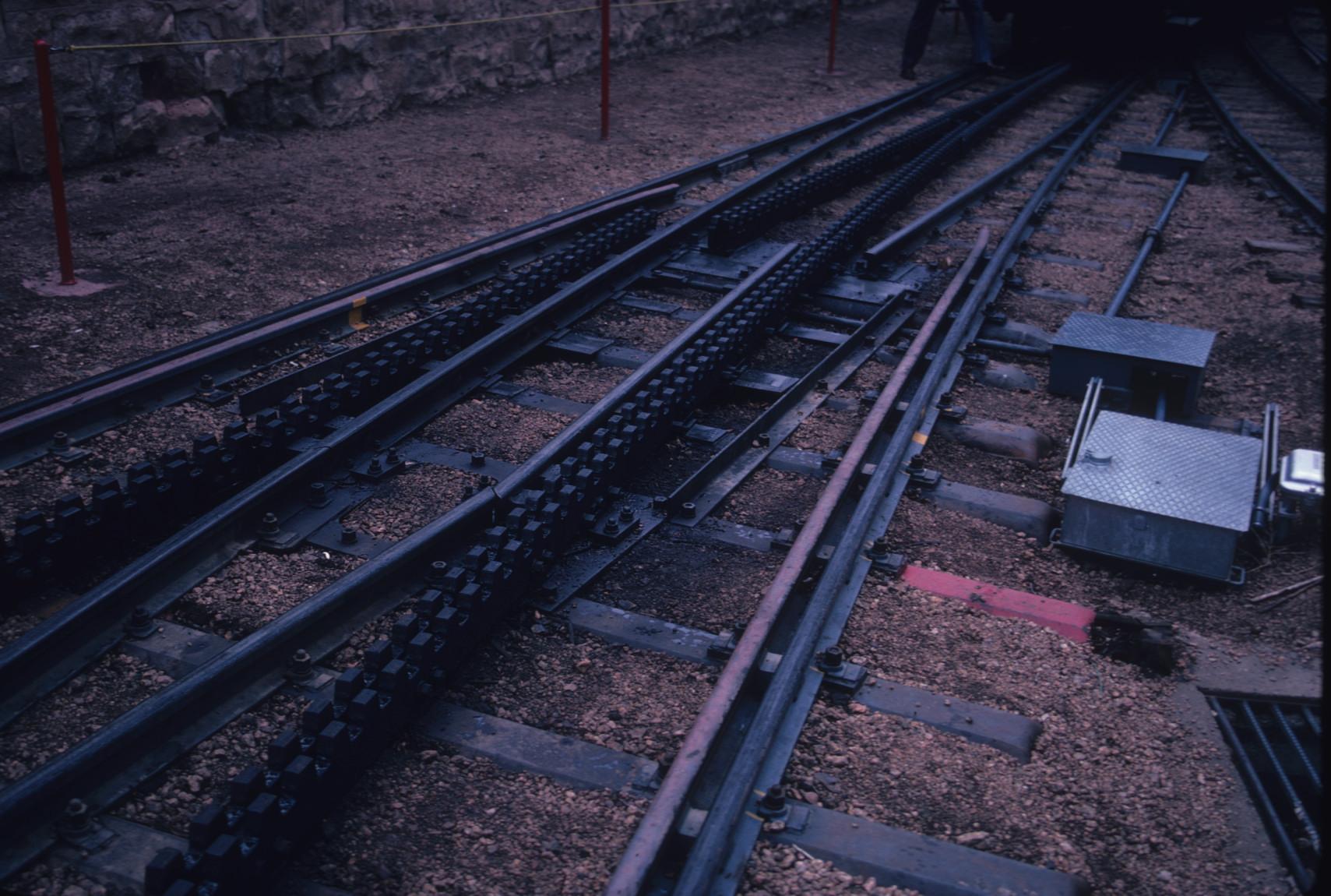 Detail Cog track switch at Manitou Base Station