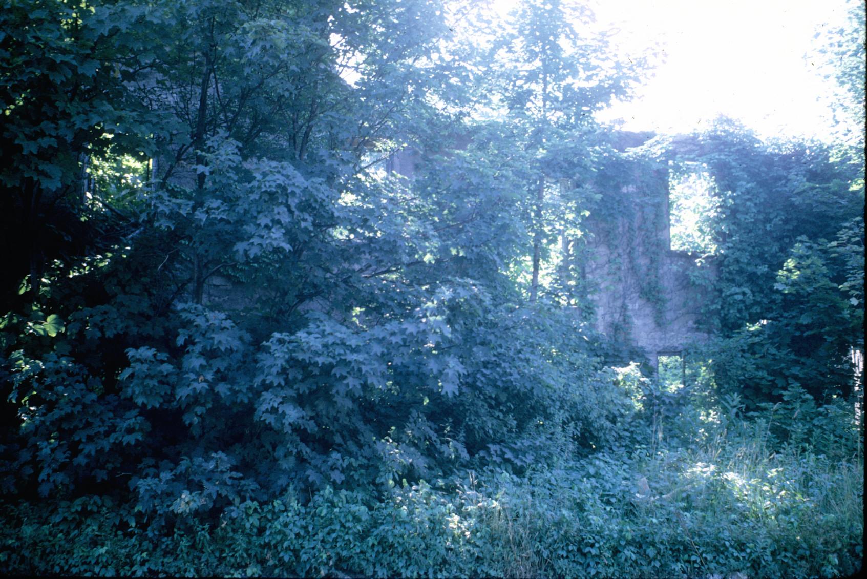 View of the Conanicut Mill ruins.  Note the red brick construction.