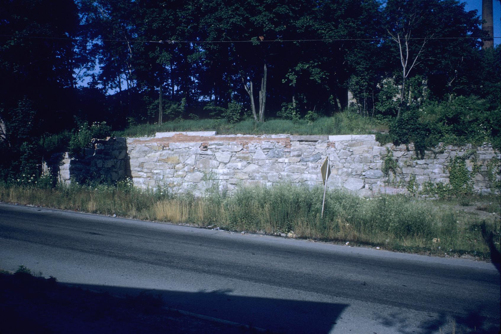 View of the Conanicut Mill ruins.  Stack visible in back.