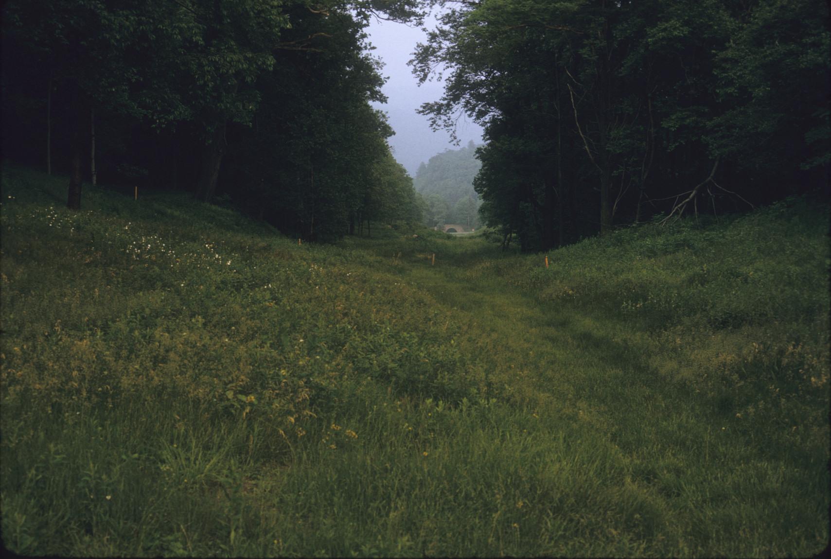 View down trace of plane #6 toward tunnel portal