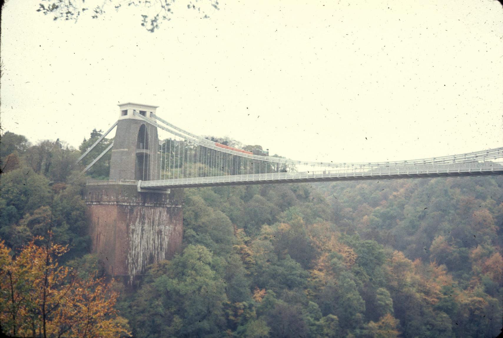 View from below