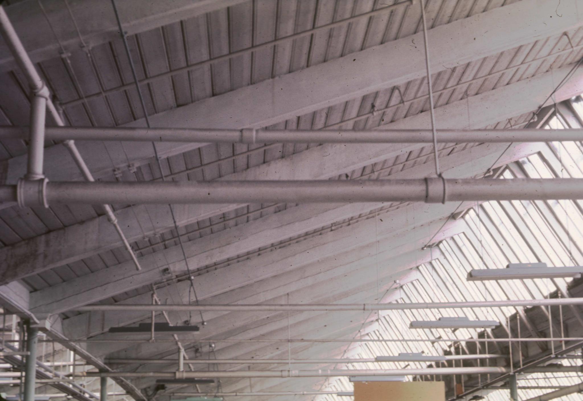 Detail of the sawtooth roof interior of the mill.  Original photograph by Ted…