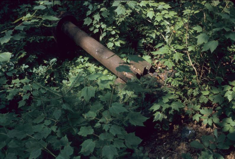 View of overgrown crankshaft for 4-cylinder blast engine.