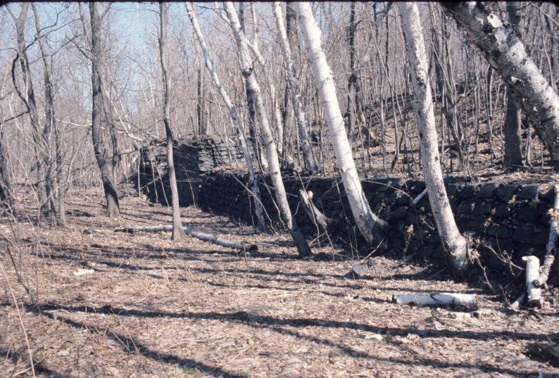 View of wall of slag molds in forest.