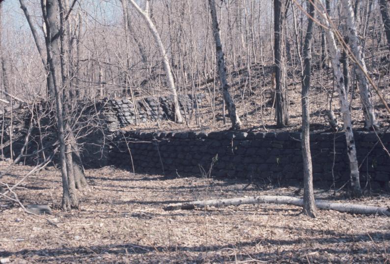 View of slag mold wall in forest.