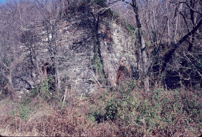 View of masonry furnace exterior in forest.