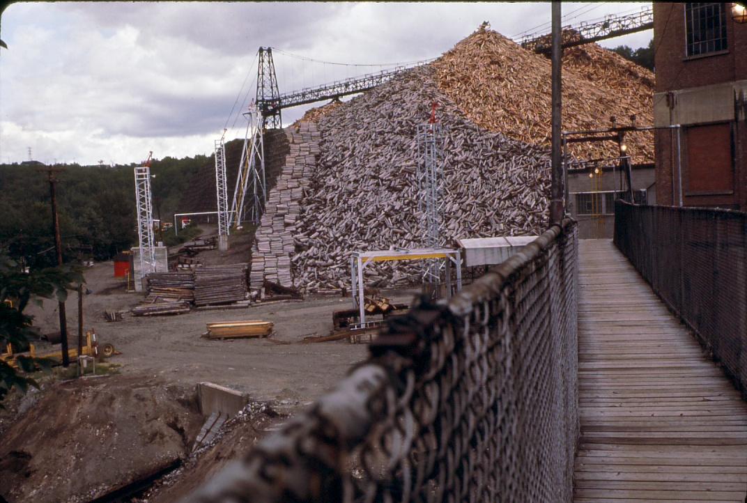 Pulp wood storage.