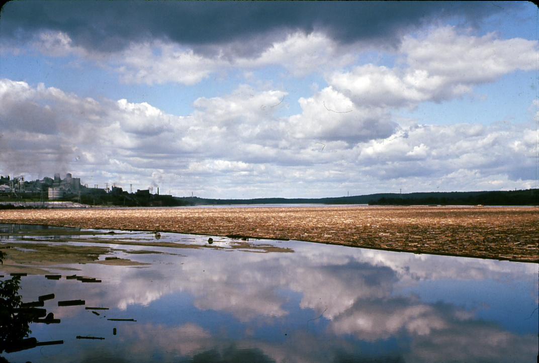 Pulp logs in the St. Maurice River.