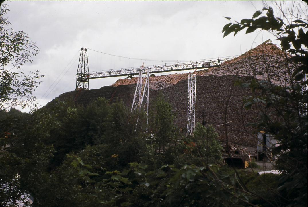 Pulp wood storage.