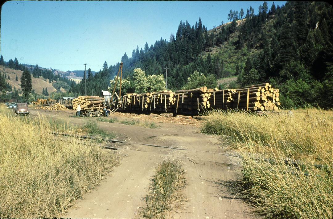 Log cars being loaded on the Camas Prairie Railroad near Orofino, Idaho.  