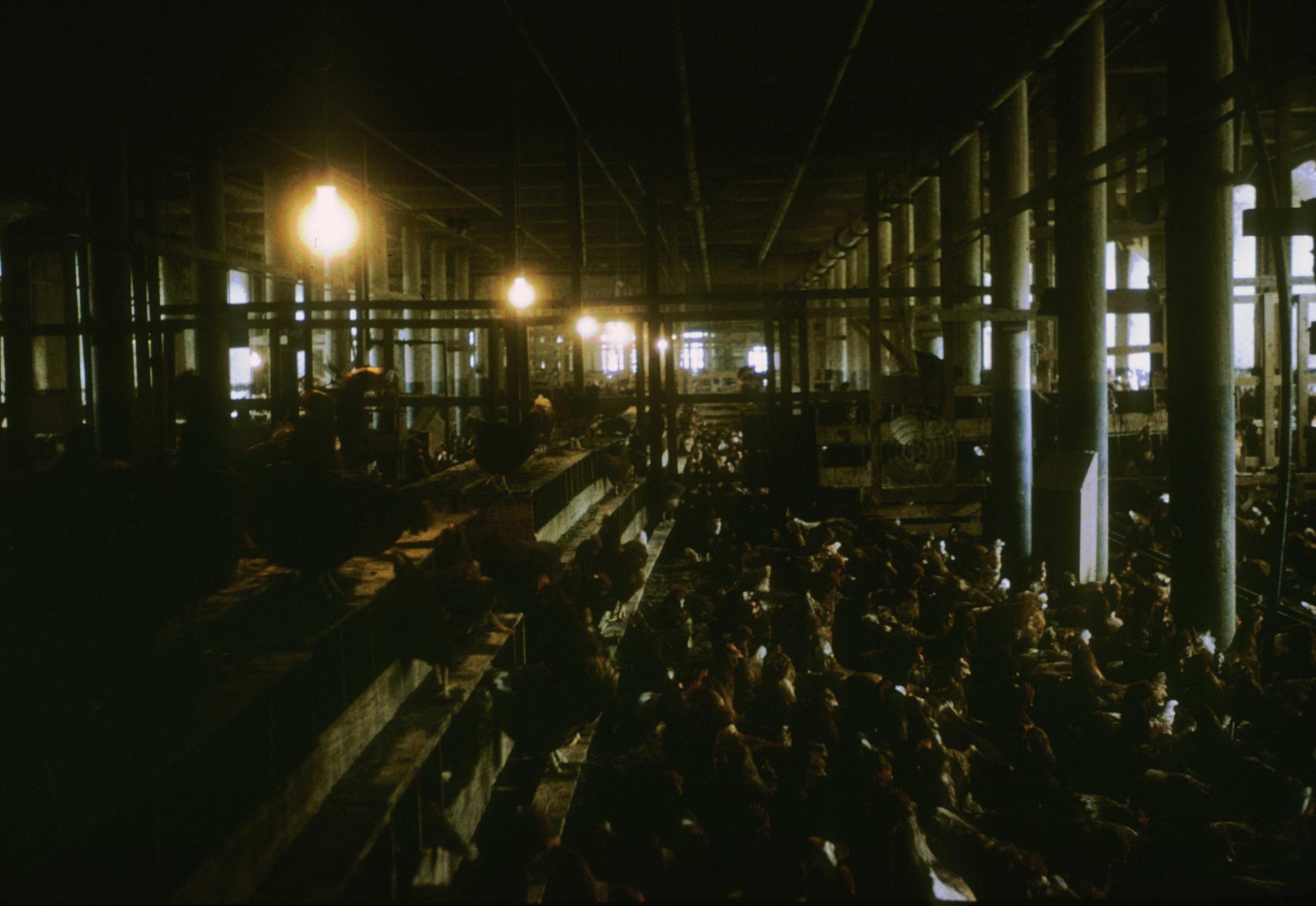 Photograph of the interior of the mill in Manchang, Massachusetts showing the…