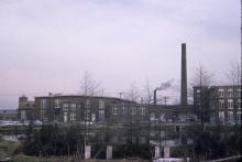 Globe Yarn Mills 