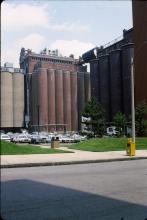 Bush Brewery