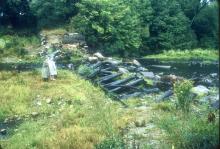 Timber Dam Ruins