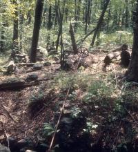 Bradway Turbine at Sawmill and Farm
